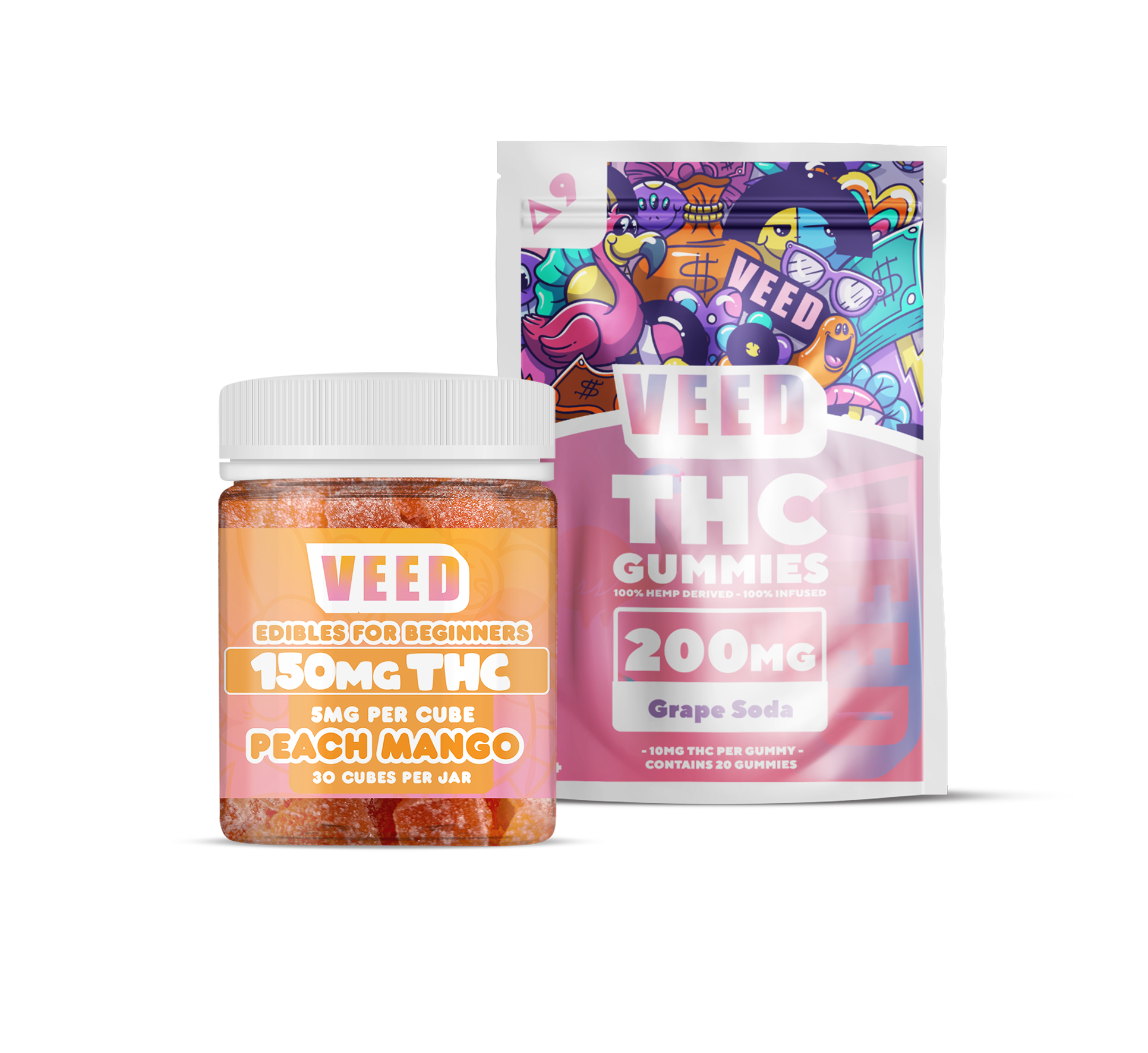 Beginner’s Bundle