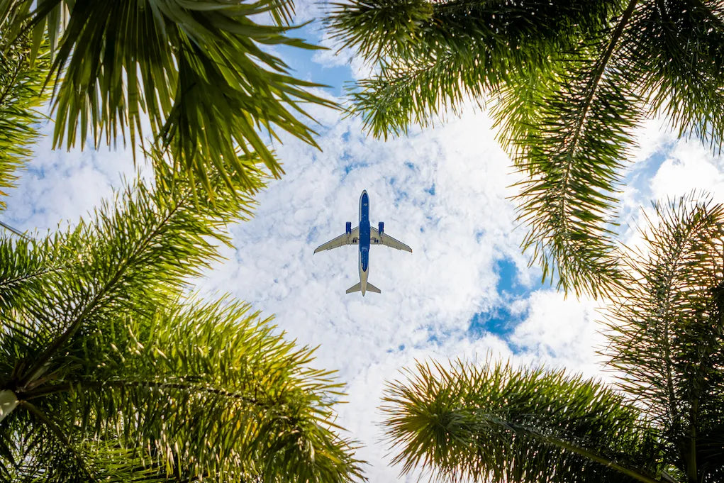 Airplane flying above palm trees, symbolizing proper THC dosage for flying