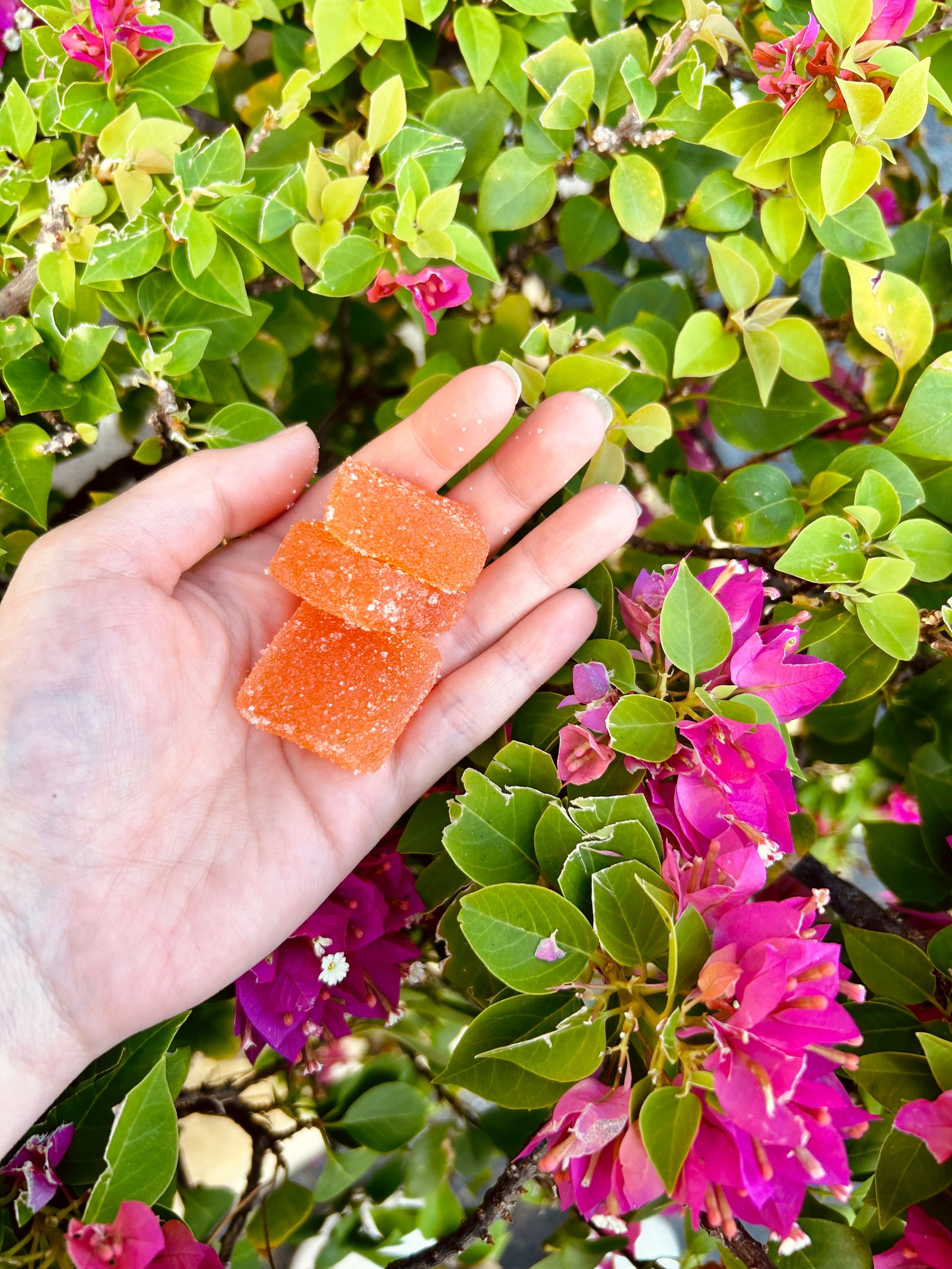 Hand Holding VEED gummies in the blog about THC gummies for sleep.